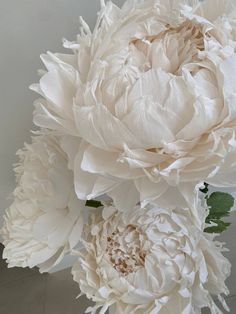 3 Free-Standing Oversized Paper Peonies, 3 Big Standing Paper Flowers, Window Display Decor, Event Decor Giant Paper Flowers 152cm | 5ft - 1pc 137cm | 4.5ft - 1pc 119cm | 3.9ft - 1pc Transform your special events, shop windows, and cafes into a stunning visual spectacle with our exquisite collection of large paper flowers made of isolon. Each flower is uniquely handmade and crafted with exceptional attention to detail to ensure a remarkable finish.  These giant flowers are perfect for decorating weddings, holiday celebrations, or any special event, and are sure to leave a lasting impression on your guests. Our collection of paper flowers offers a wide variety of colors and designs, making them a great addition to your decor.  These oversized blooms are expertly crafted and come with sturdy Giant Paper Flower Backdrop Especially Paper, Feminine Home Office Classy With Paper Flowers, Large Paper Flowers Tutorial, Professional Paper Flowers, Large Paper Chanel Flower, Oversized Wall Flowers, Cricut Giant Flowers, Giant Paper Wreath, Crepe Paper Flowers Peonies