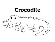 a crocodile with the word crocodile on it's back and an alligator in its mouth