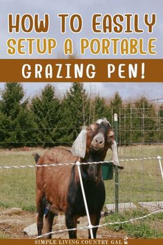 a goat standing in front of a fence with the words how to easily setup a portable grazing pen