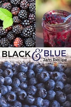 blueberries, raspberries and blackberrys with the words black & blue jam recipe