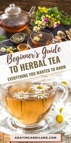 a cup of tea with daisies in it and the words beginner's guide to herb tea everything you wanted to know