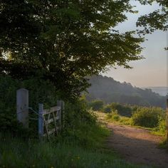 an open gate on the side of a dirt road next to a lush green field