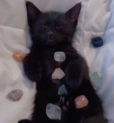 a black cat laying on top of a bed covered in lots of different colored rocks