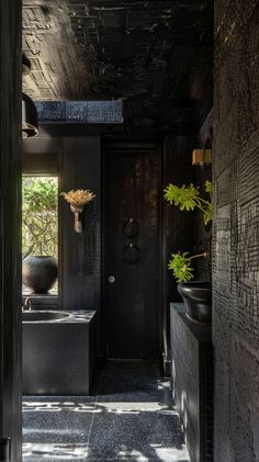 an entry way leading to a bathroom with black walls and flooring, along with potted plants on either side of the door