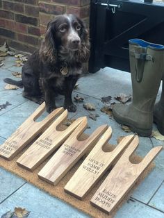 a dog sitting on the ground next to wooden plaques