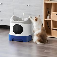 a cat sitting on the floor next to a litter box