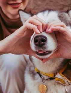 a woman petting a husky dog with her hand on it's face while wearing a yellow collar