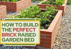 a sign that says how to build the perfect brick raised garden bed