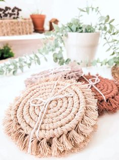 three round baskets with rope tied to them on a table next to potted plants