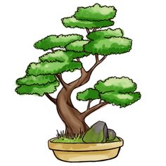 a bonsai tree in a pot with rocks