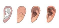 three different types of ears are shown