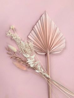 a paper fan and some dried flowers on a pink background