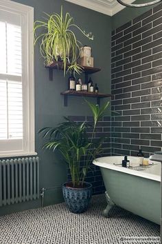 a bath tub sitting next to a window with a plant in the middle of it