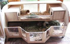 two guinea pigs are in their cages on the floor next to a large window