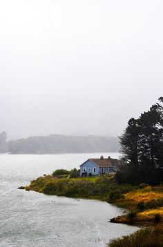 a blue house sitting on top of a lush green field next to a body of water