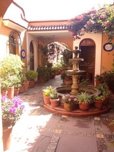 a courtyard with potted plants and a fountain