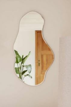 a mirror that is on the wall with a plant in it and a door behind it