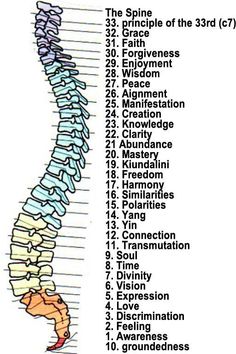 Chakra Points, Reiki Symbols, Chakra Meditation, Vinyasa Yoga, Pranayama, Reflexology, Mind Body Soul, Holistic Healing