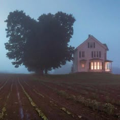 a large house sitting on top of a lush green field next to a tree in the fog