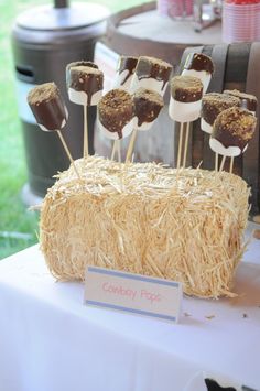 there is a cake with marshmallows and chocolate on sticks in front of it