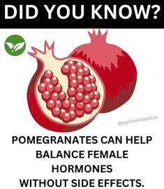 Fruit For Health, Herb Facts, Vitamin Guide, Pomegranate Benefits, Chickpeas Benefits, Ayurveda Diet, Female Features, Egg Quality, Turmeric Health