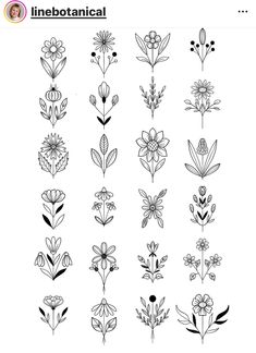 the different flowers are drawn in black and white, with one line on each side