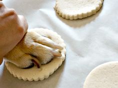 a dog paw is on top of an uncooked cookie