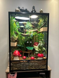 an aquarium filled with lots of plants and small red toadgies sitting on top of a table