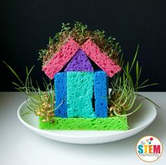 a small house made out of crochet sits on a plate with air plants