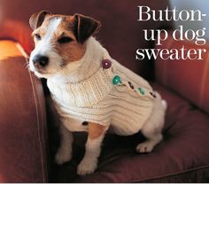 a book with a dog wearing a sweater