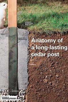 an animal sitting on top of a pile of dirt next to a sign that says anatomy of a long - lasting cedar post