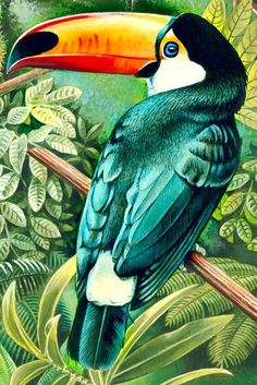 a painting of a toucan bird sitting on a tree branch with leaves around it