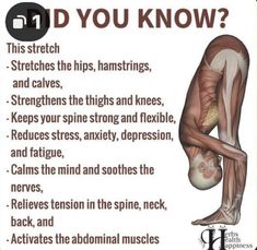 a poster with the words do you know what muscles are in your body? on it