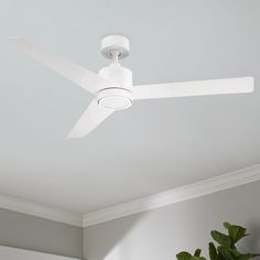 a white ceiling fan in a room with a potted plant on the floor next to it