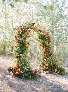 an arch made out of leaves in the middle of a field with trees behind it