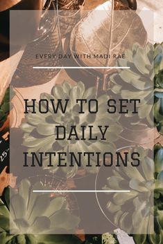 the words how to set daily intentionss with succulents and other plants