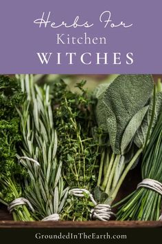 herbs for kitchen witches with text overlay