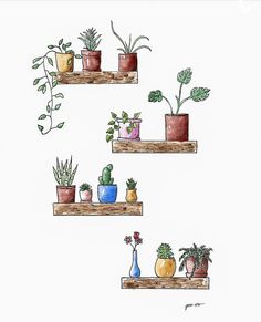 three wooden shelves with potted plants on them