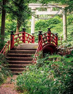 a red bridge in the middle of a forest with stairs leading up to it's top