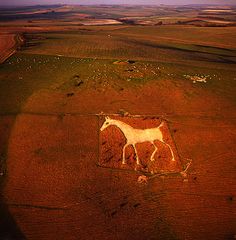 an aerial view of a horse drawn in the middle of a field with grass and dirt