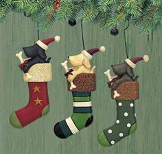 three christmas stockings hanging from a tree with dogs and cats on them, all decorated in different colors