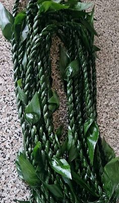 Ti Leaf lei- Single Strand **Please indicate the date the lei is needed for via note or message. Lei Description: 1. One strand tied closed. 2. Length of the strand (closed) is approximately 22".  3. The lei is sturdy and quite long lasting if stored properly. Preparation, Shipping and Receiving Guide: 1. Once an order is placed, please allow me a day or two to gather, clean, prepare, braid your lei and have it inspected by our Department of Agriculture. The Department of Agriculture is open Mon Luau Lei Display, Take A Lei Sign, Lei Day Hawaii, Samoan Graduation Lei, Hawaii Lei, Employee Recognition Gifts, Ti Leaf Lei, Employee Thank You, Ti Leaf