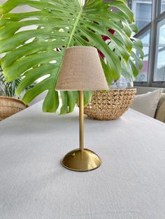 a lamp sitting on top of a table next to a large green leafy plant