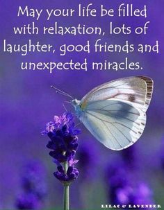 a white butterfly sitting on top of a purple flower next to a quote about life filled with relaxation, lots of laughter, good friends and unexpected miracles