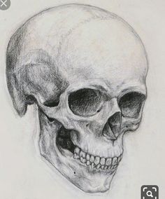 a drawing of a human skull with no lower jaw and one eye missing from it