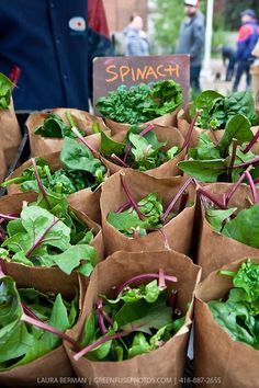 several brown paper bags filled with green leafy vegetables