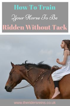 Horse Tricks, Riding Tips, Riding A Horse, Equestrian Helmet, Horse Training Tips, Horse Tips, English Riding, Horse Blankets, Horse Training