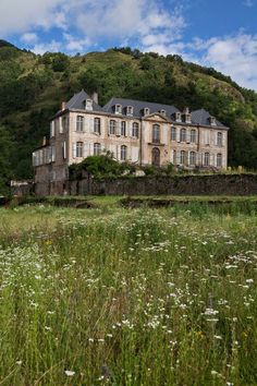 an old house sits in the middle of a field with wildflowers growing around it