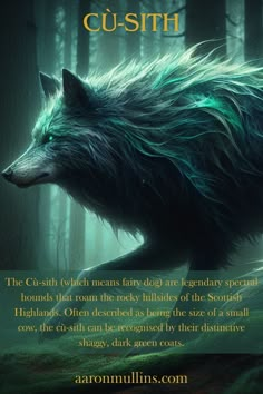 an animal with long hair and green eyes in the woods, next to a quote about cush