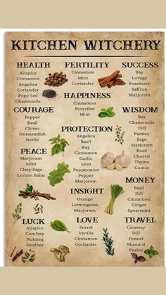 Herb Meanings, Herbs Magic, Magical Herbs Witchcraft, Herbs Witchcraft, Witchcraft Herbs, Tarot Significado, Witch Herbs